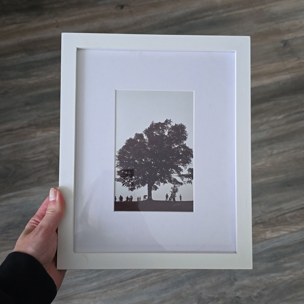 Framed Black and White Tree Photo, Vintage, Shot on Film by Tim Mascaro
